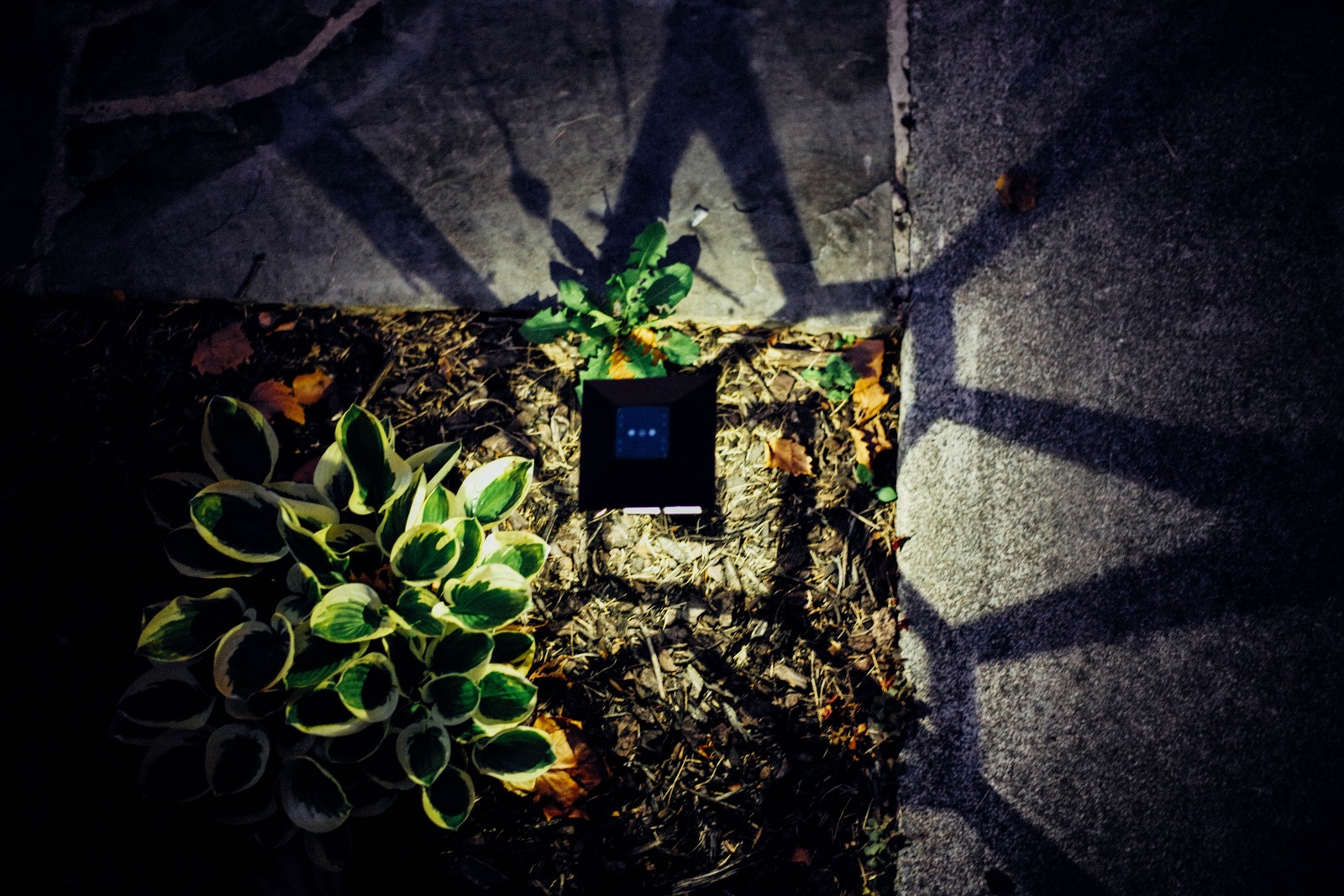 Silent Night Shadows