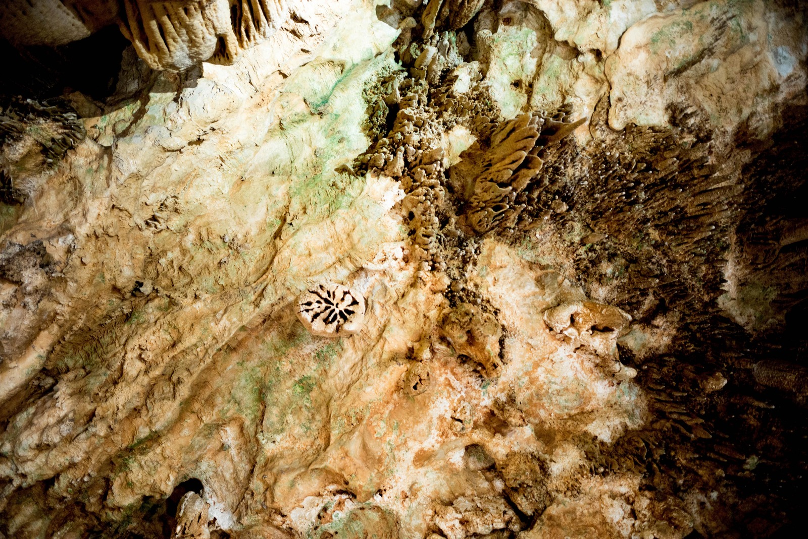 Nature's Underground Canvas