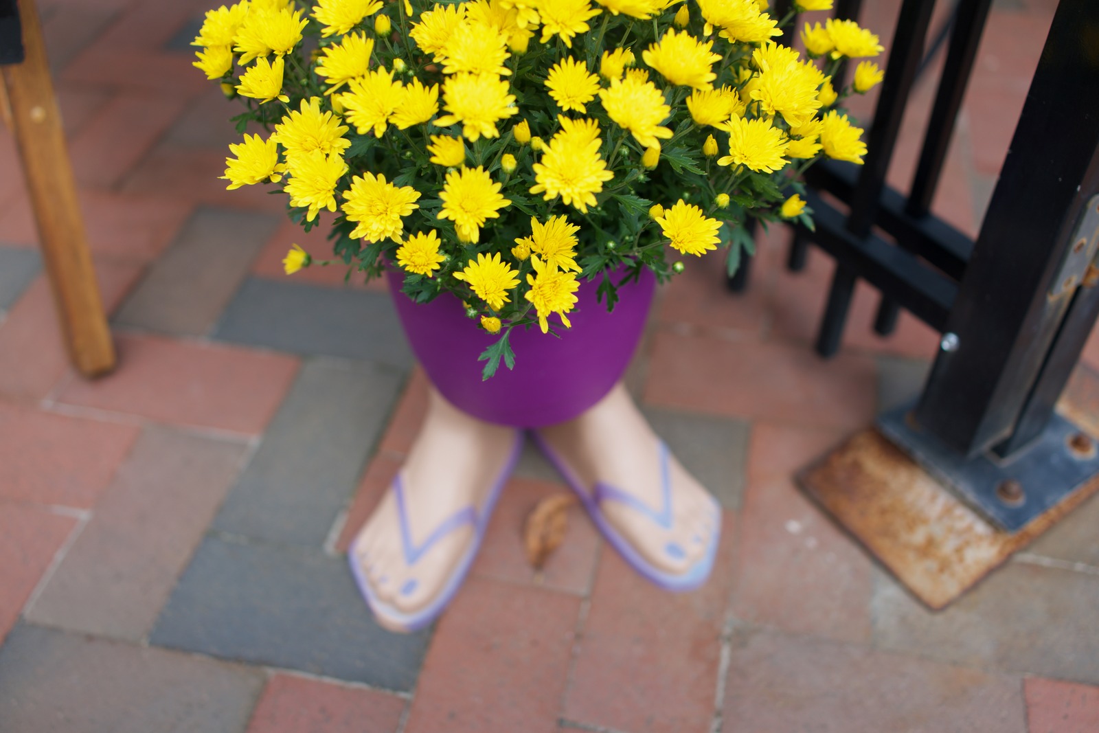 Whimsical Floral Encounter