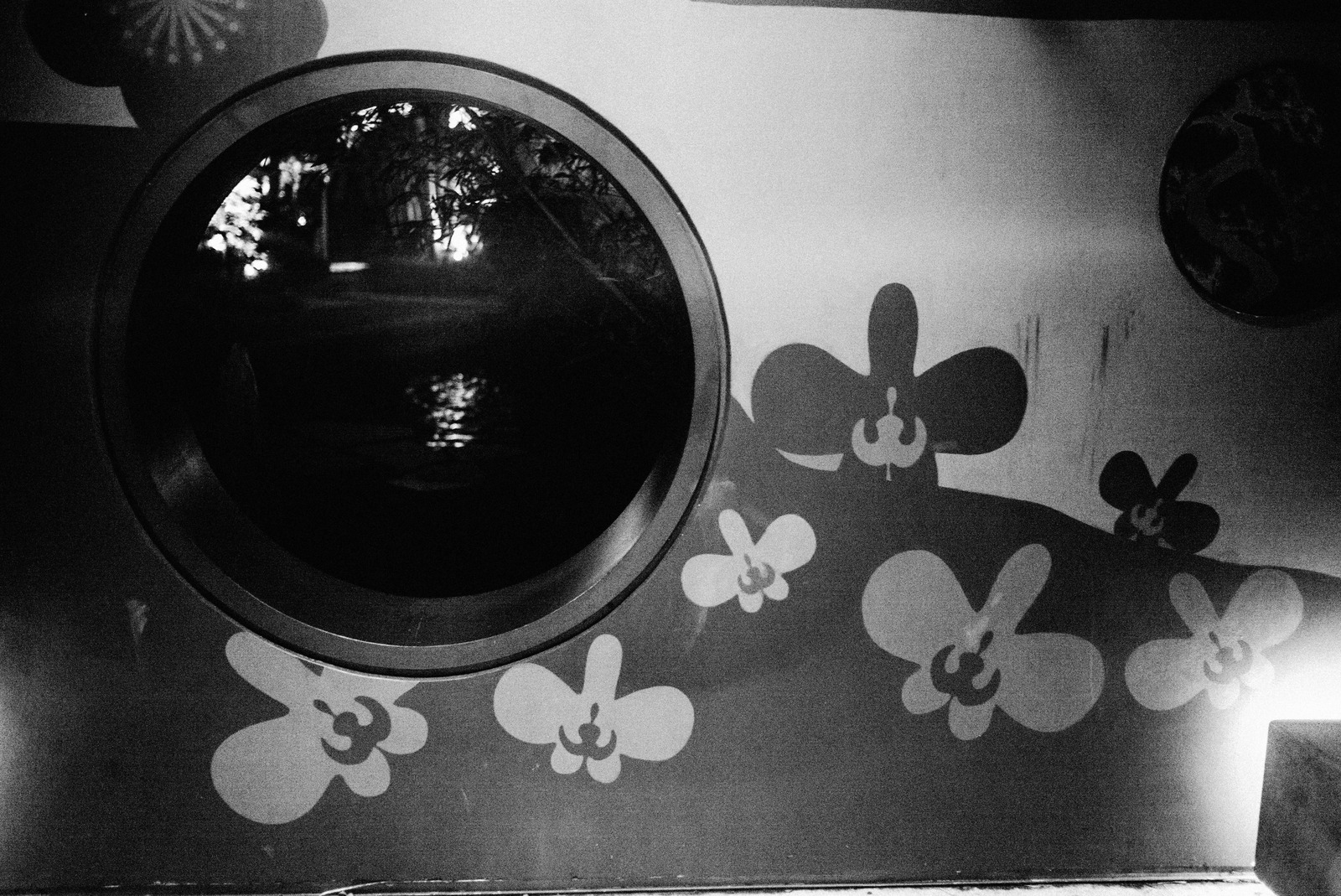 Peering Through Shadows