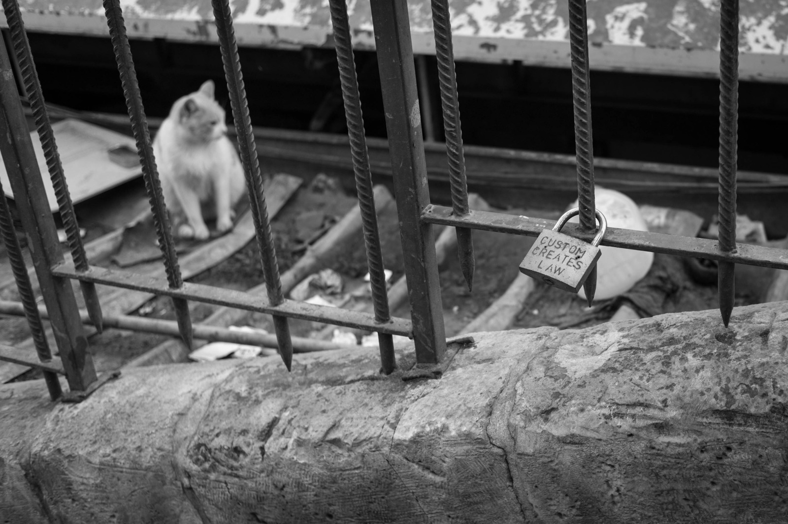 A Moment of Solitude