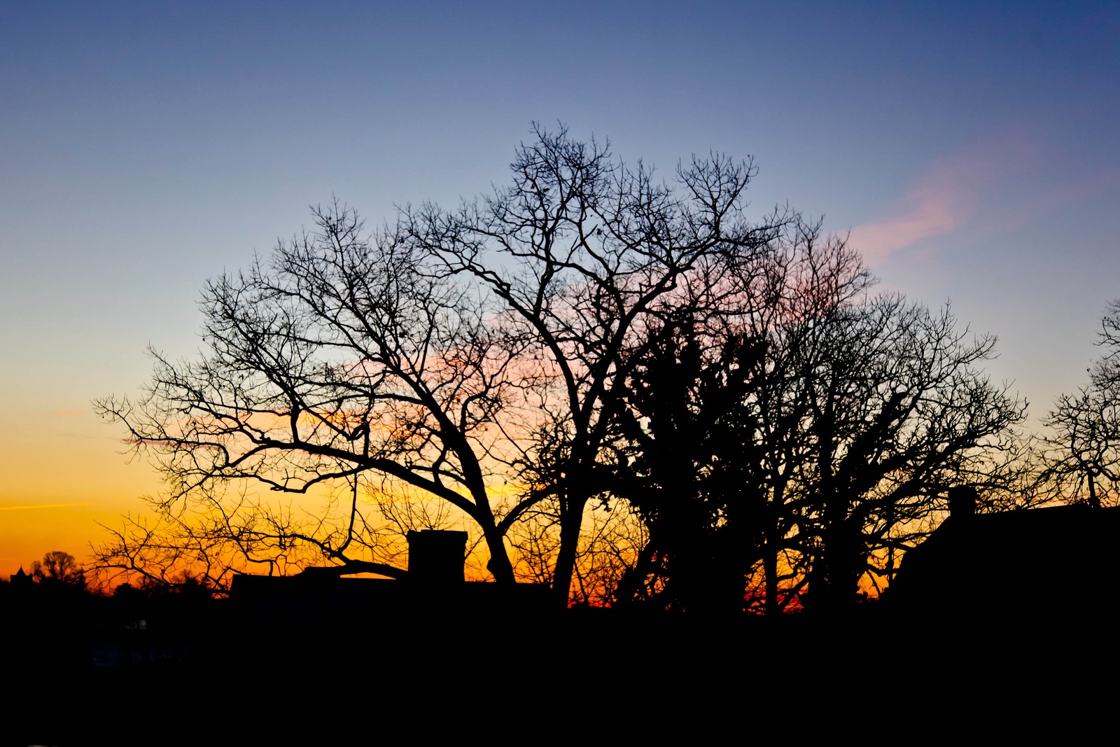 Silhouettes at Dusk