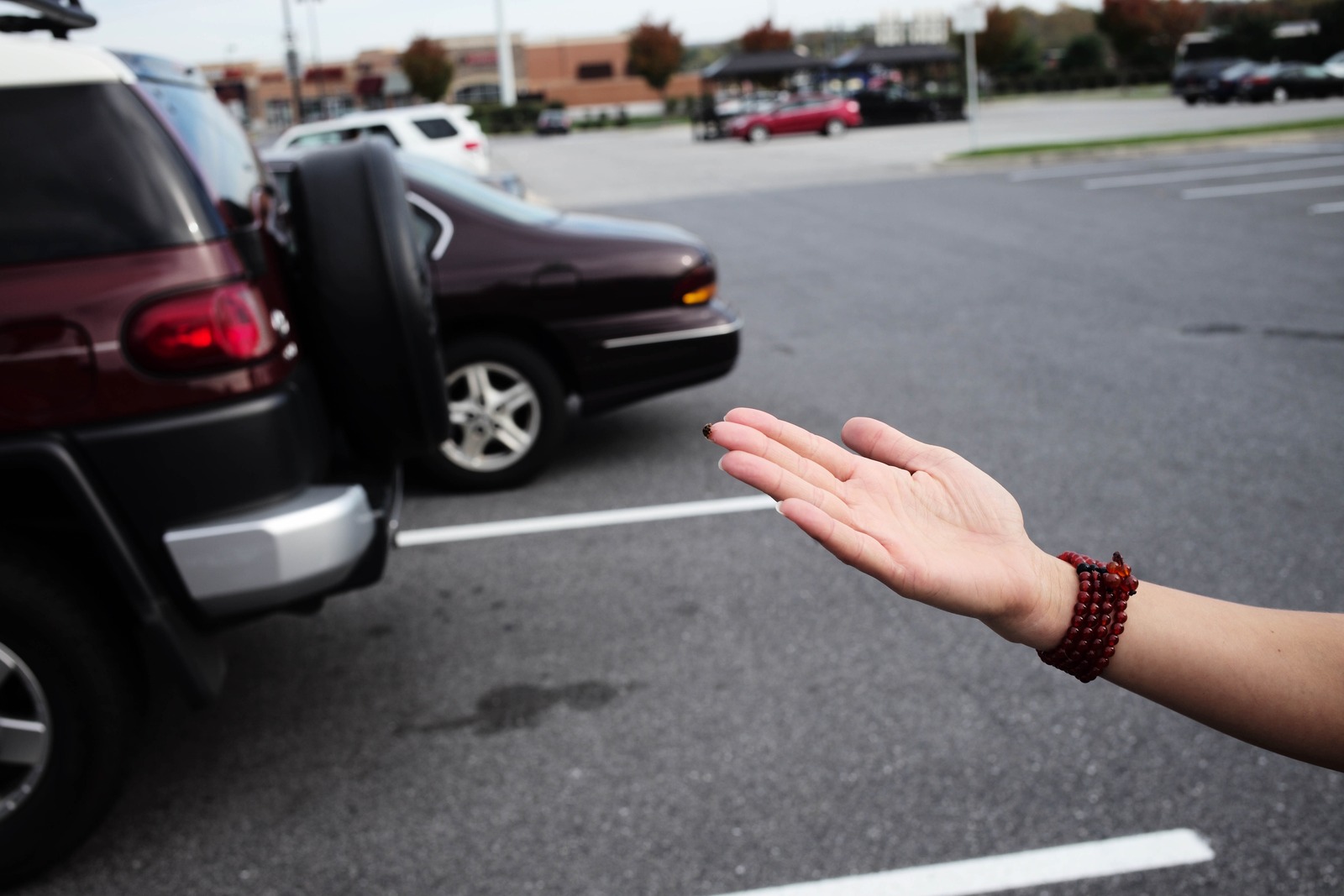 A Gesture of Invitation