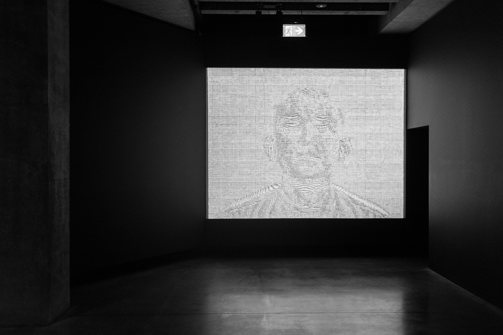 The Monochrome Reflection