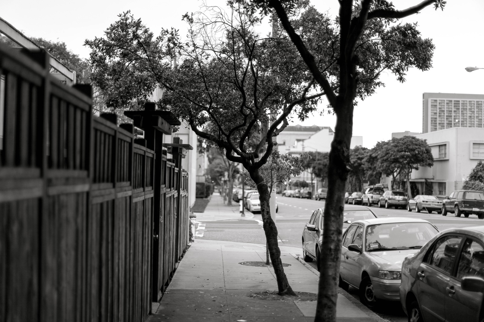 Urban Solitude in Monochrome