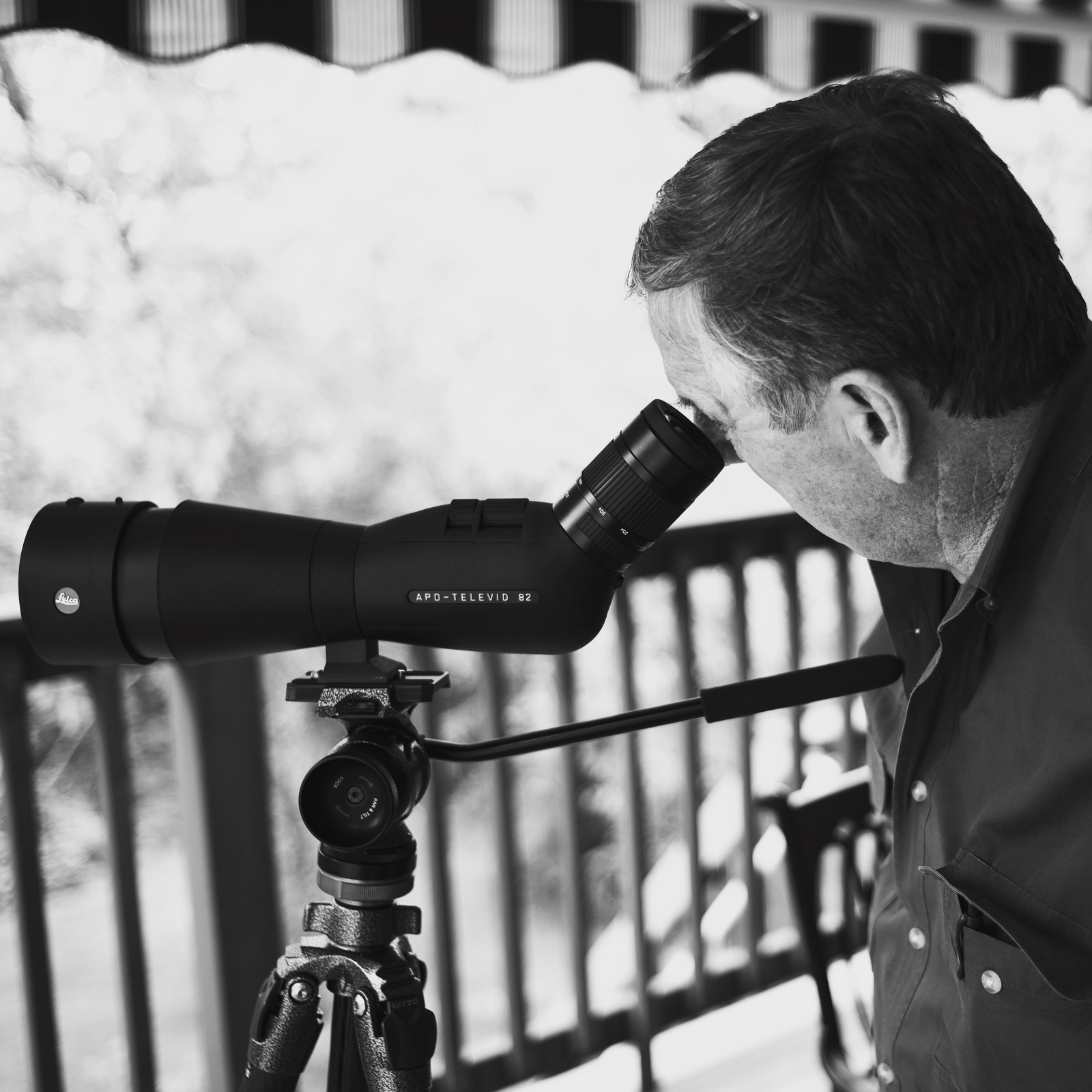 The Observer's Focus