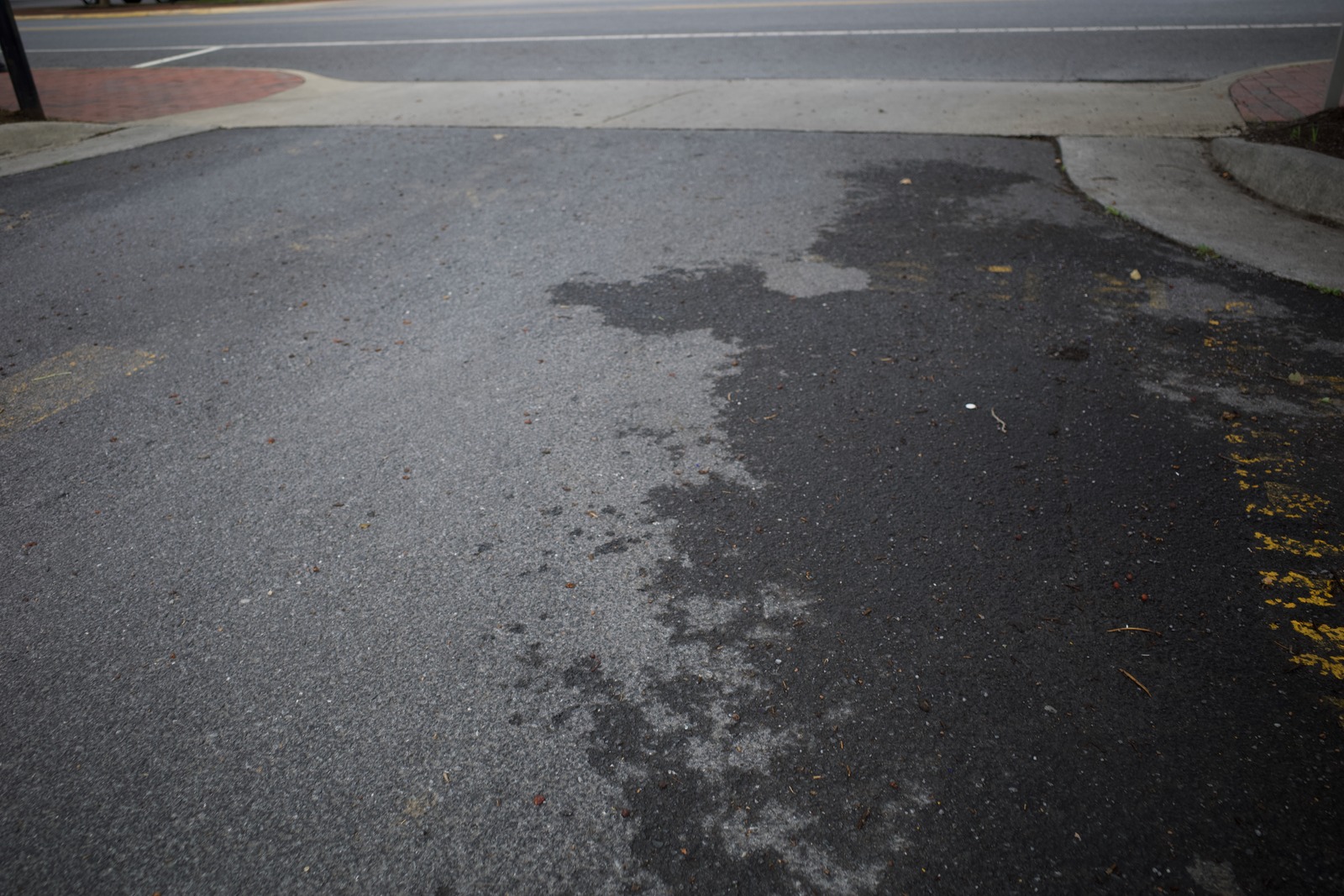 Urban Landscape in Transition