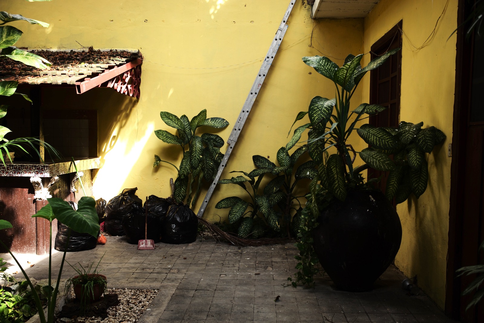 A Quiet Corner of Nature