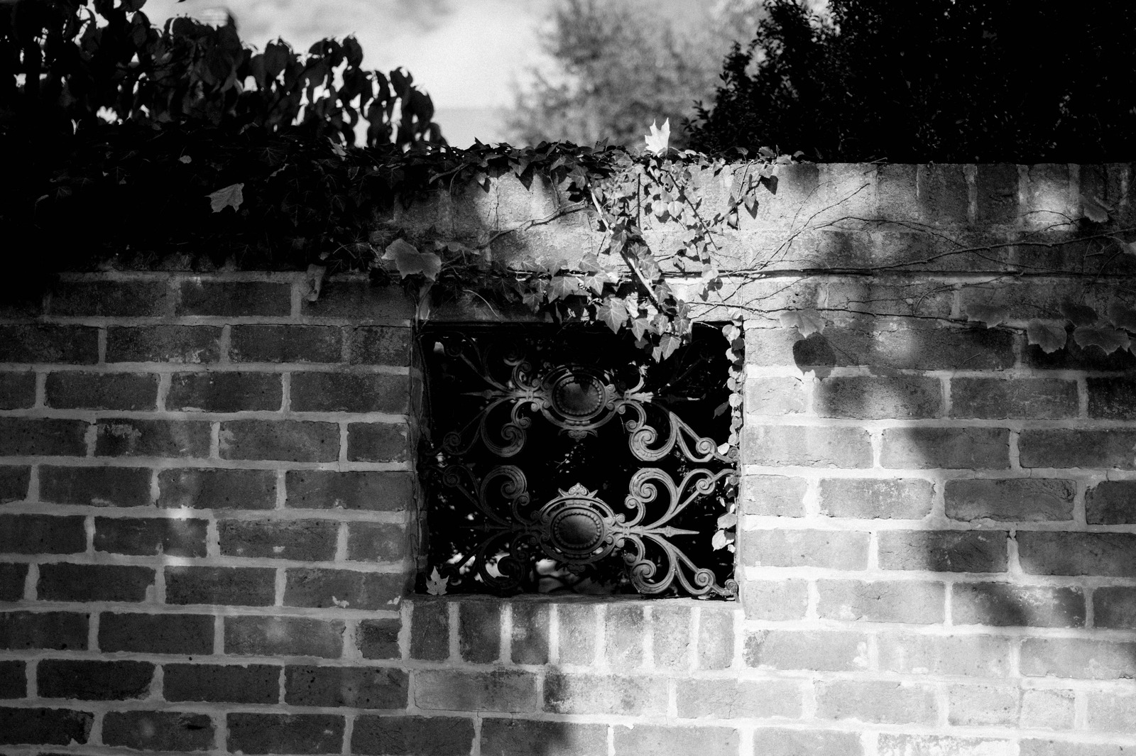 Whispers Through Wrought Iron