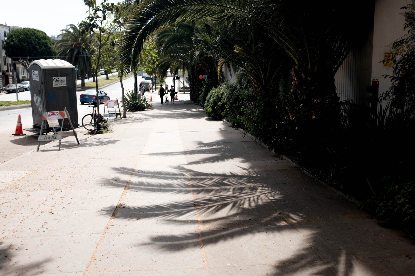Shadows on a Sunny Sidewalk