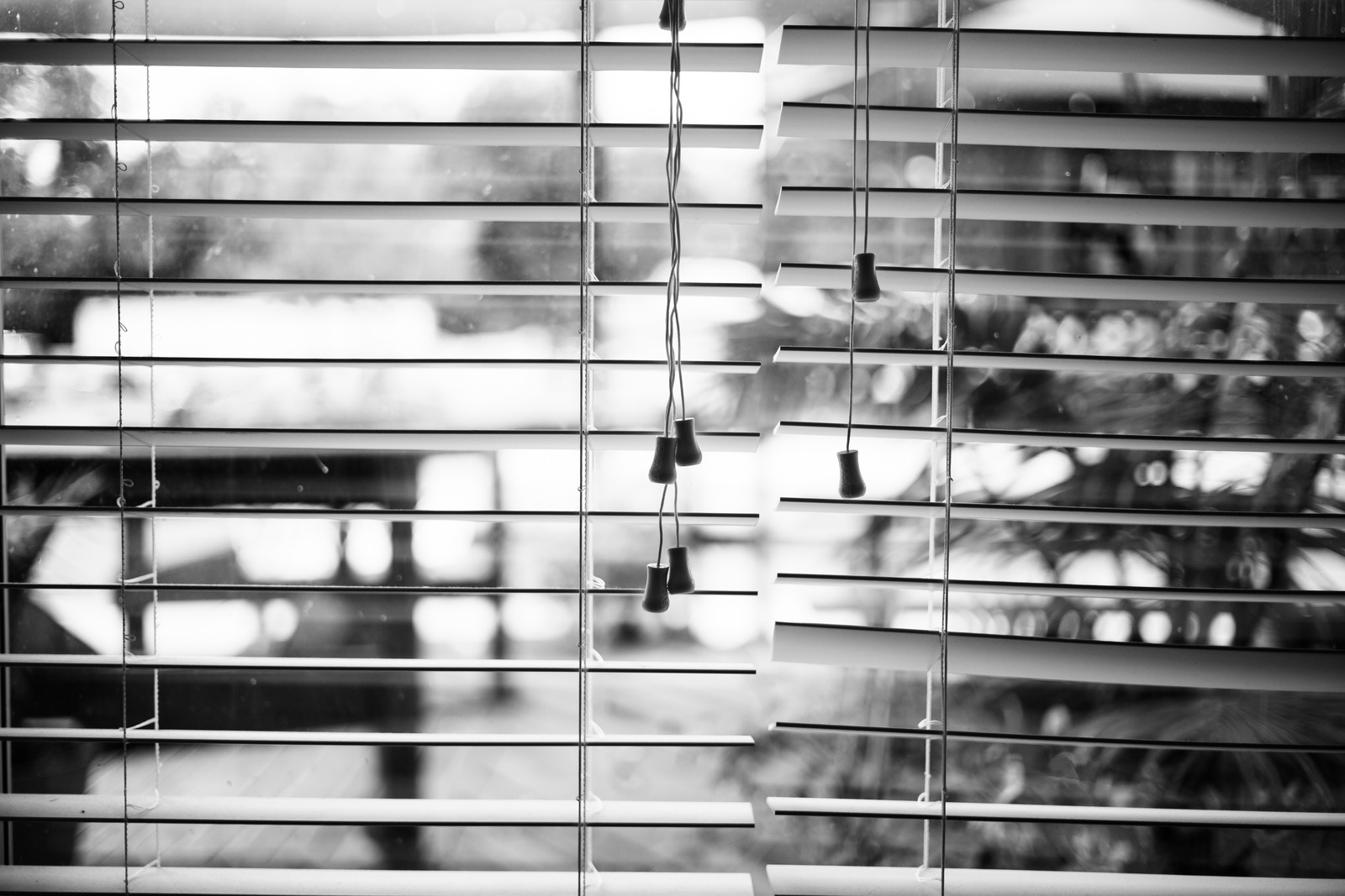 Shadows of the Window