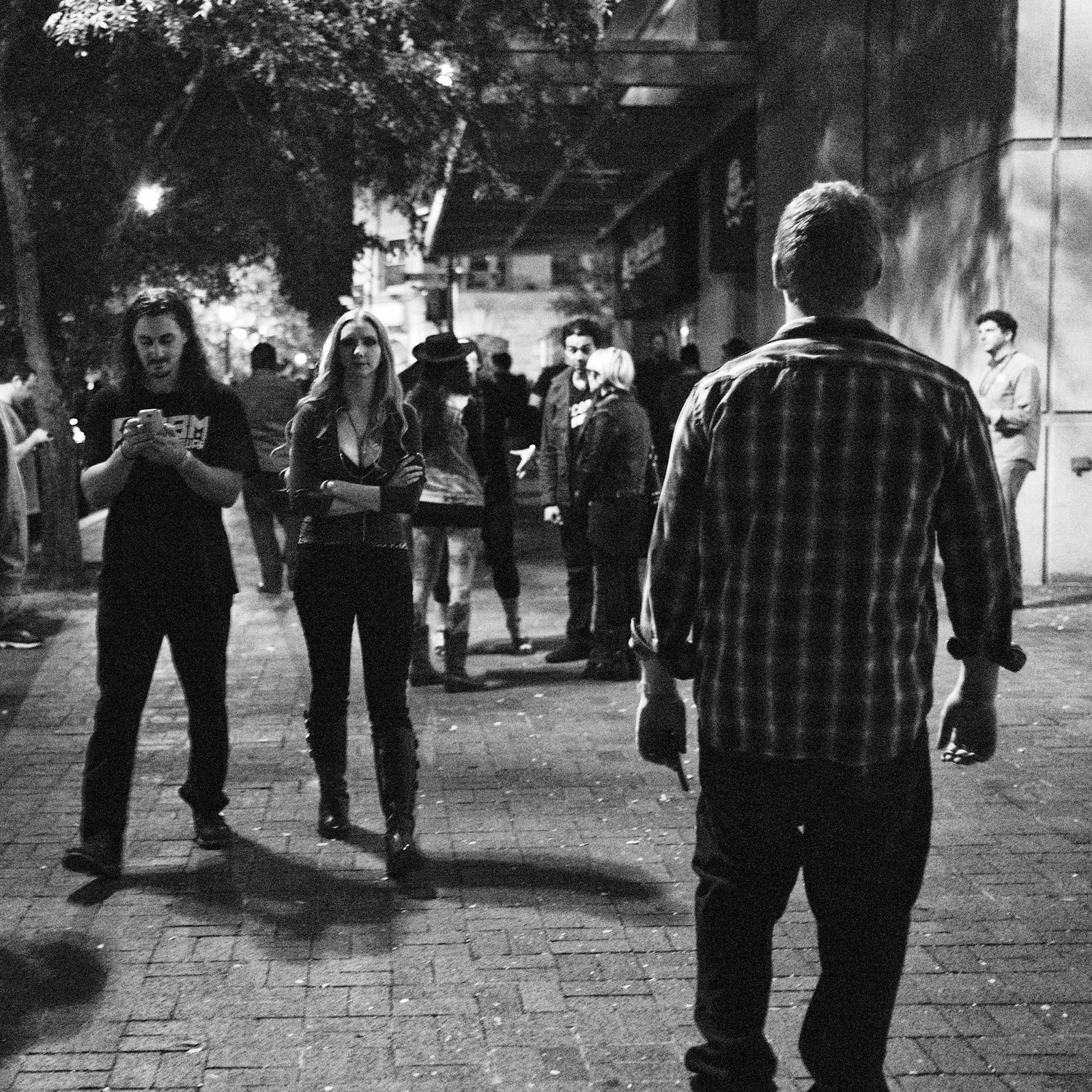 Nocturnal Encounters