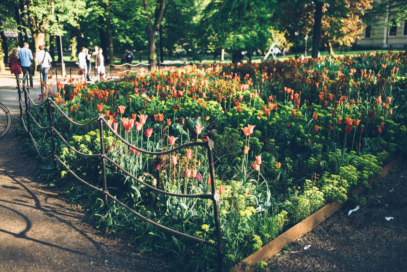 Colorful Spring Garden