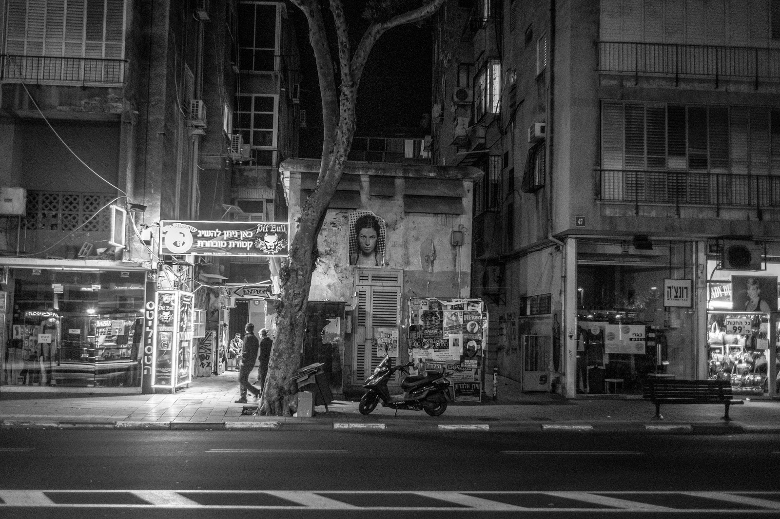 Nocturnal Urban Echoes