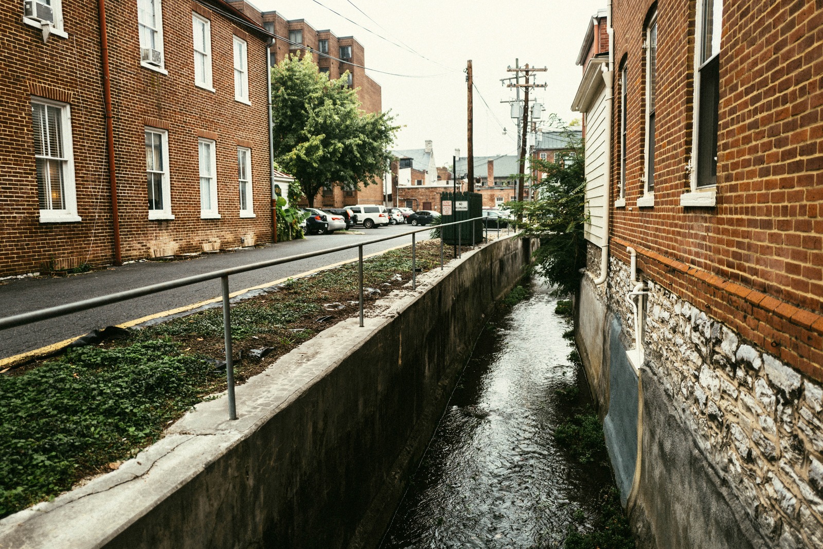 Urban Streamside Serenity