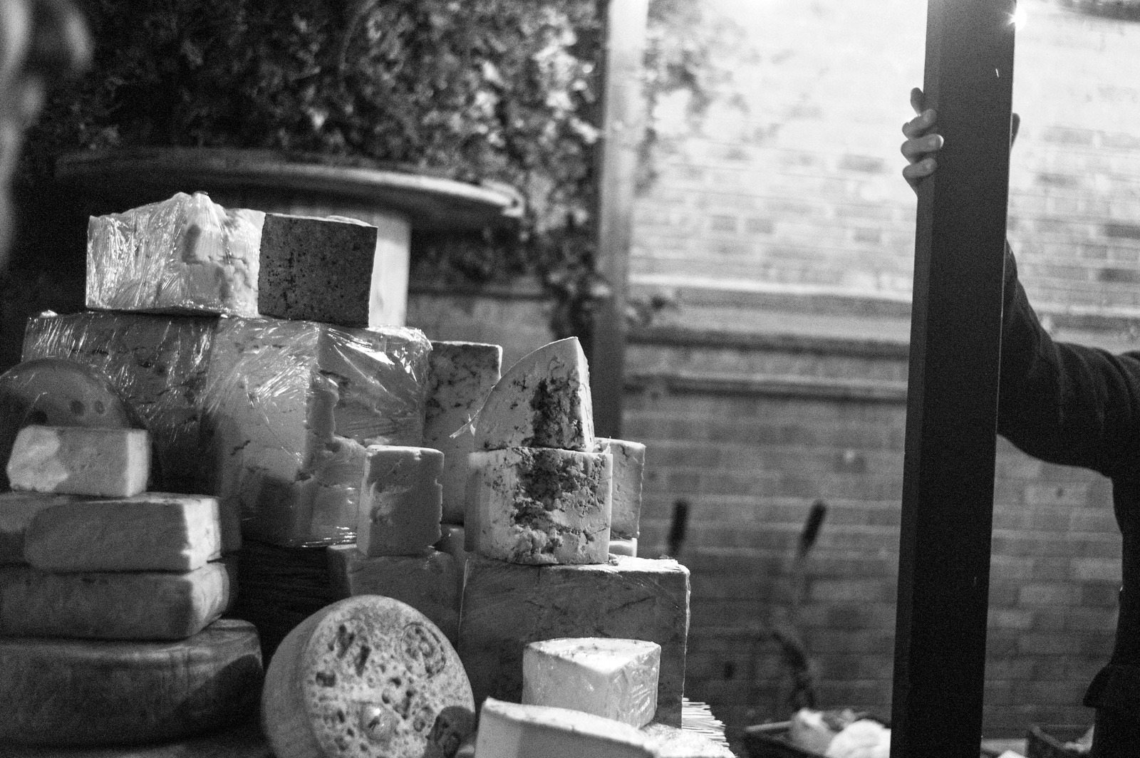 Cheese Stack in Shadows