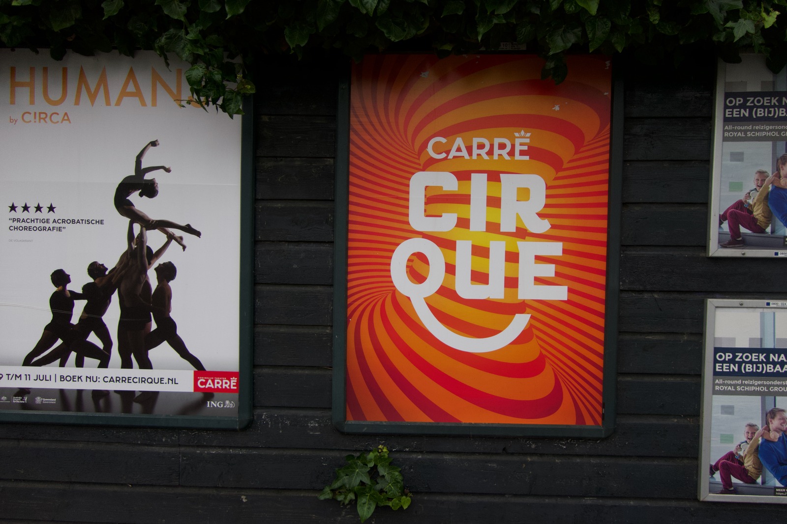 Colorful Circus Promotions