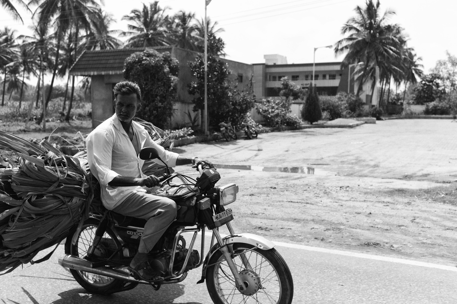 Journey Through Shadows