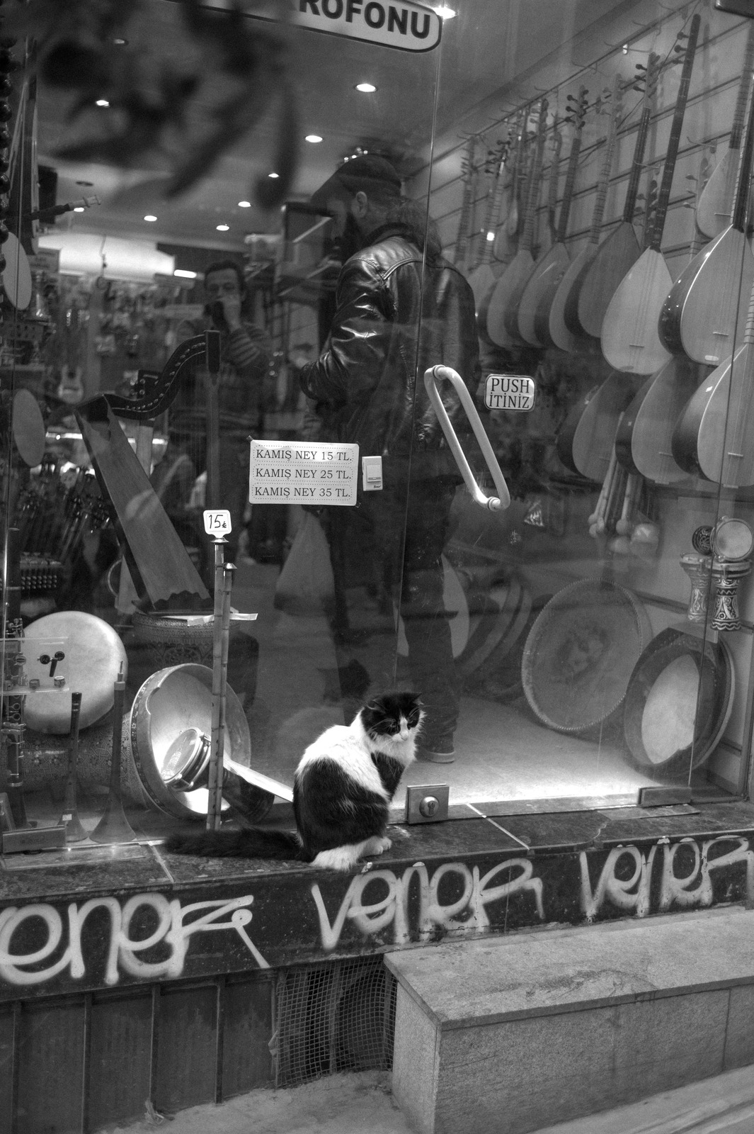 Quiet Solitude in a Music Shop