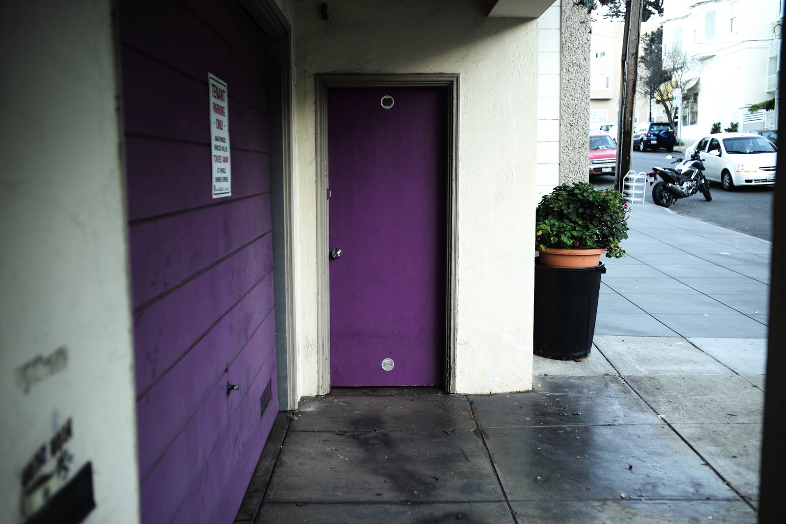 The Enigmatic Purple Door