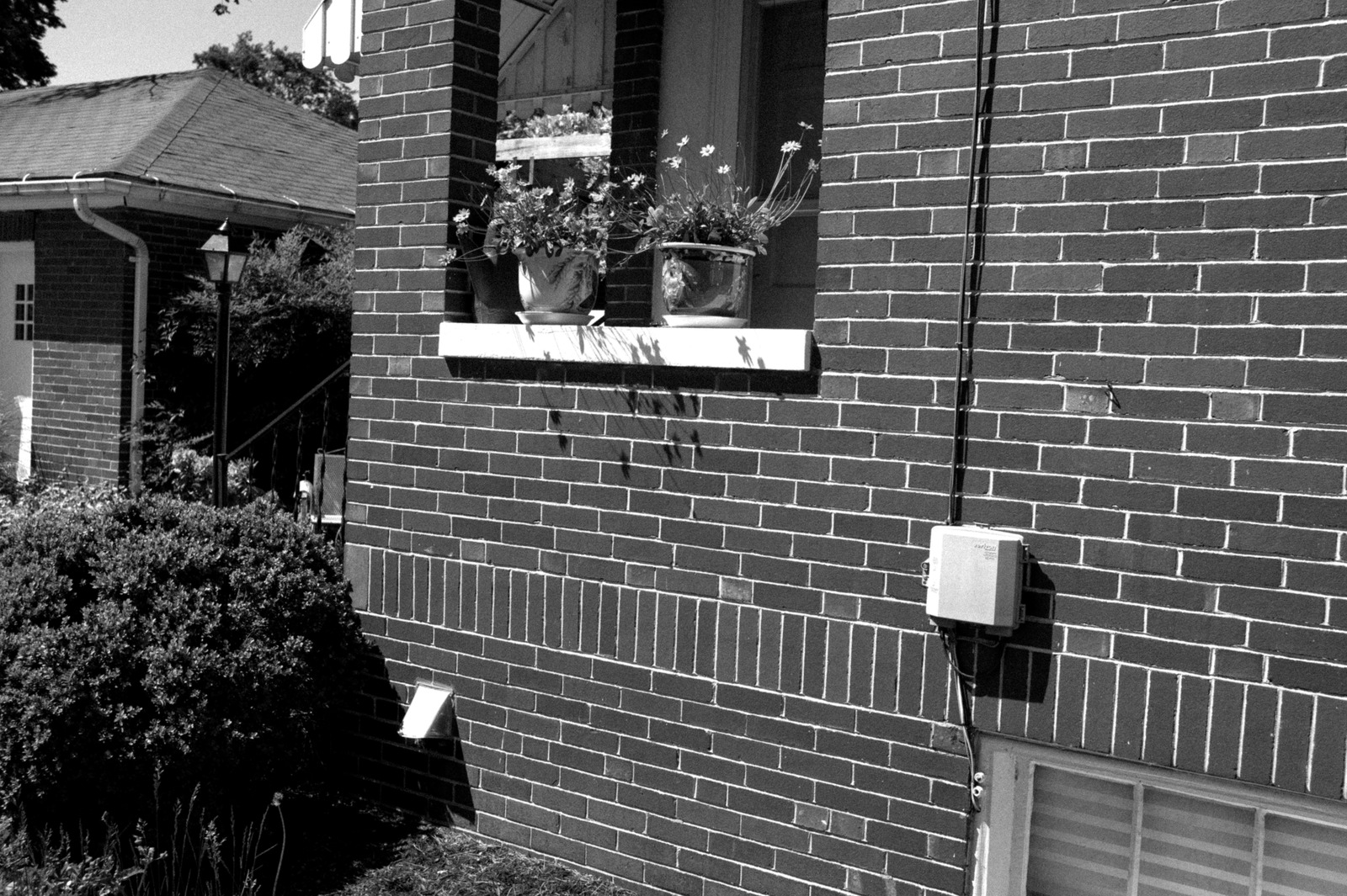 Quiet Corner of Home