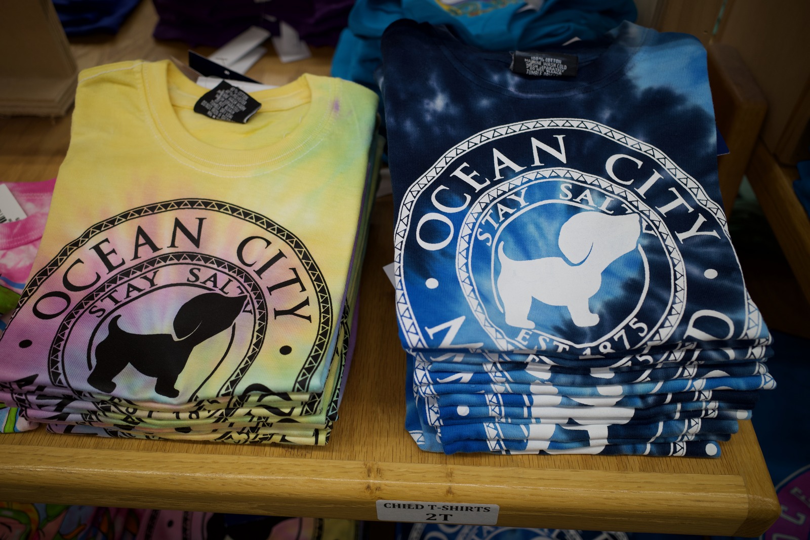 Vibrant Coastal Tees