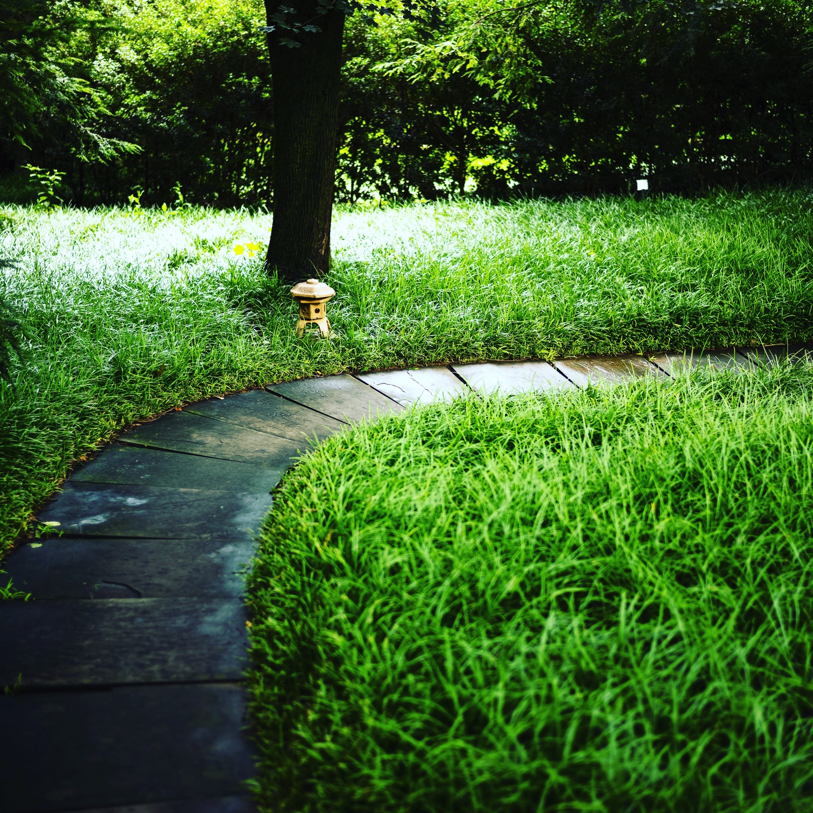Curved Serenity in Green