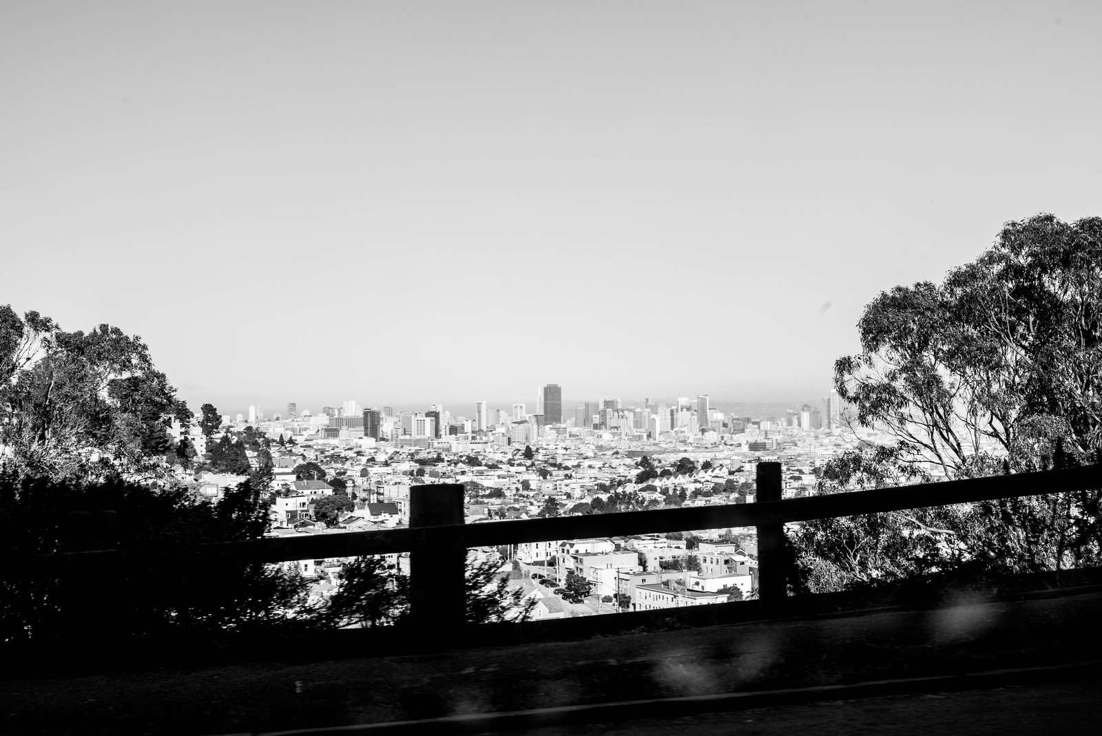 Urban Serenity in Monochrome