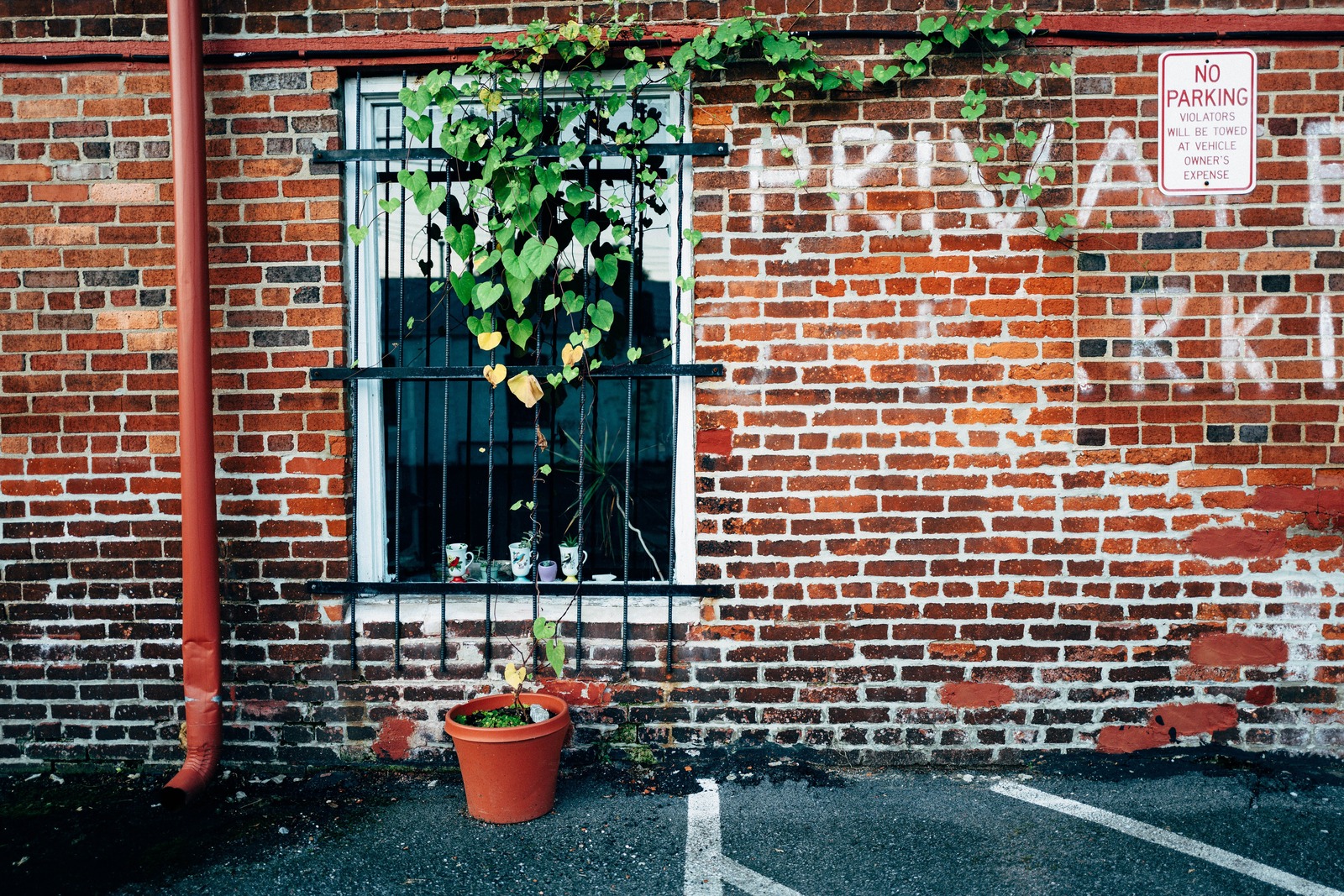 Whispers of Solitude