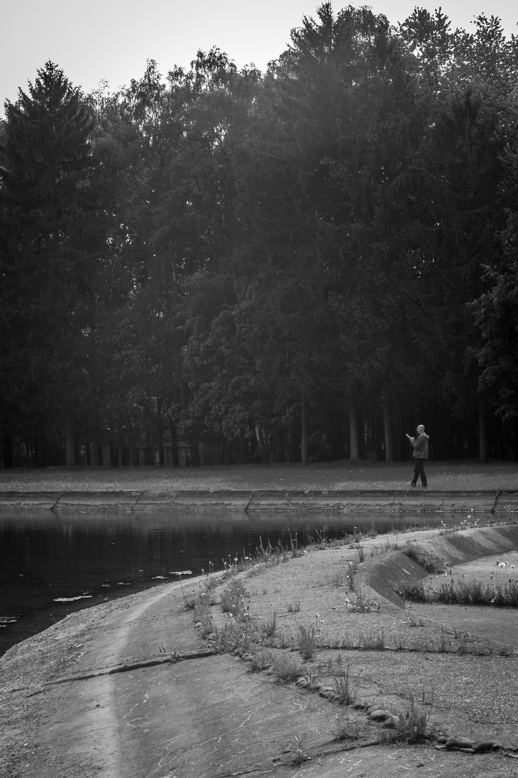 Solitary Stroll by the Water