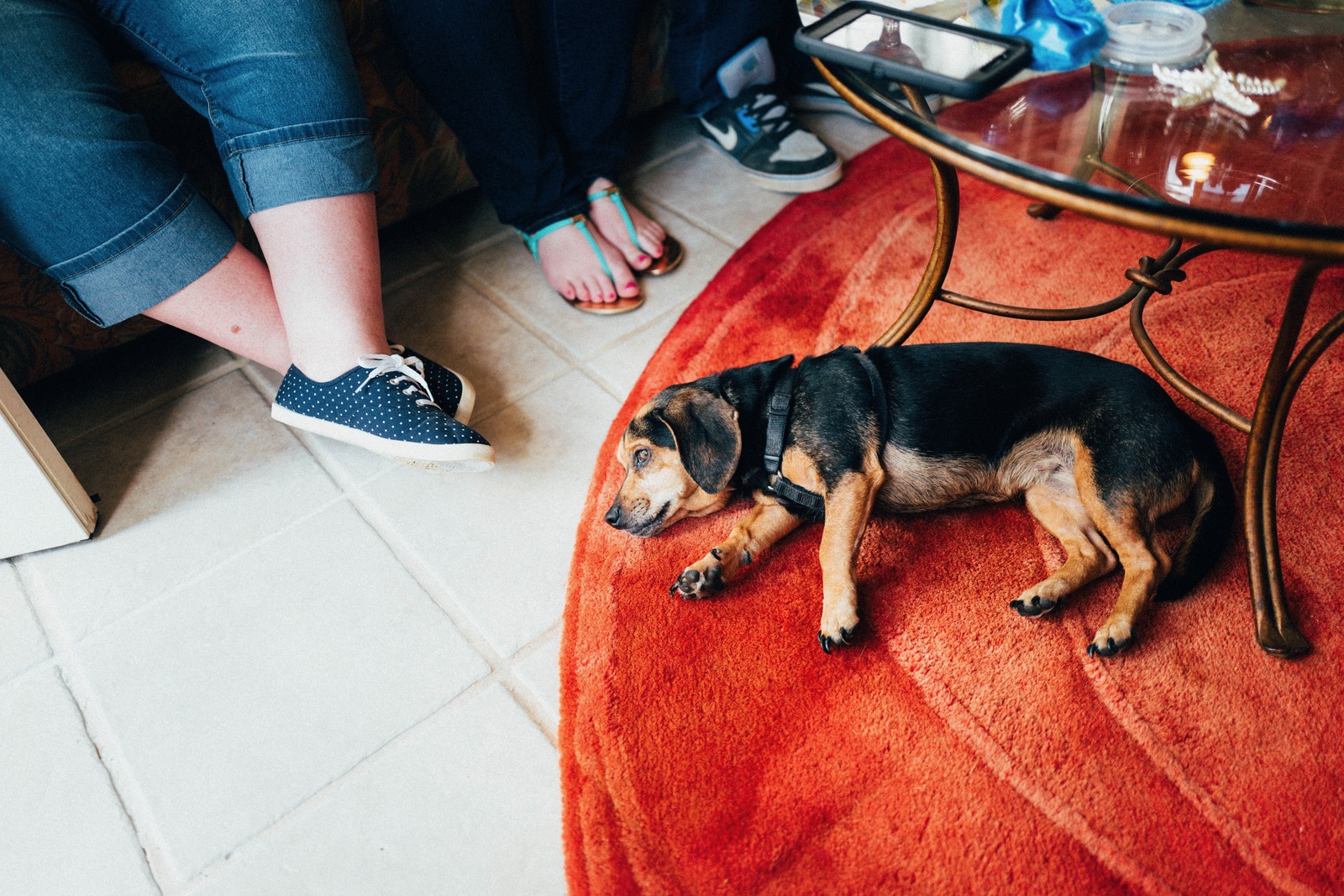 A Cozy Afternoon Moment