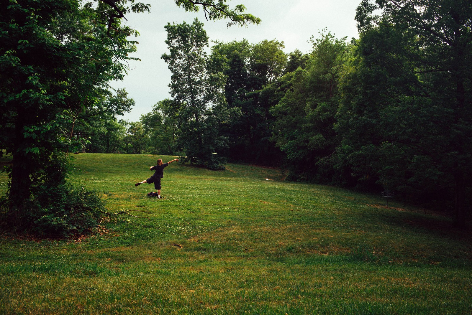 Joyful Solitude in Nature
