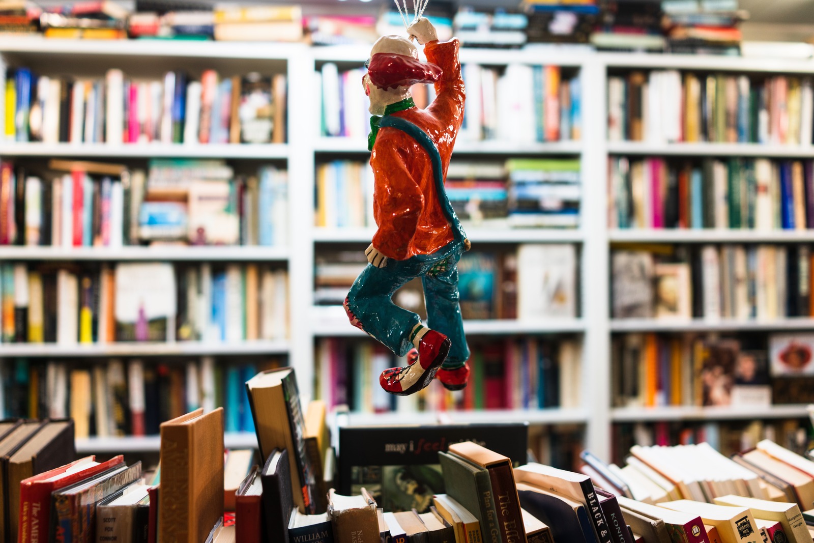 Playful Ornament Among Books