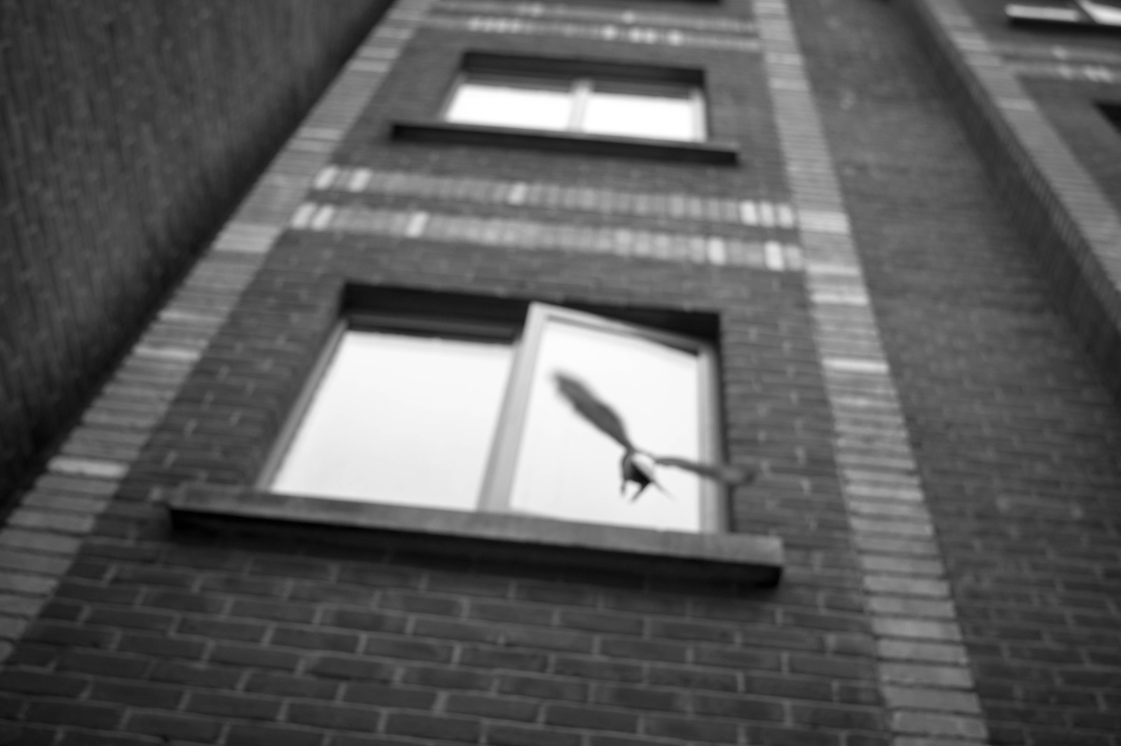 Flight from Solitude