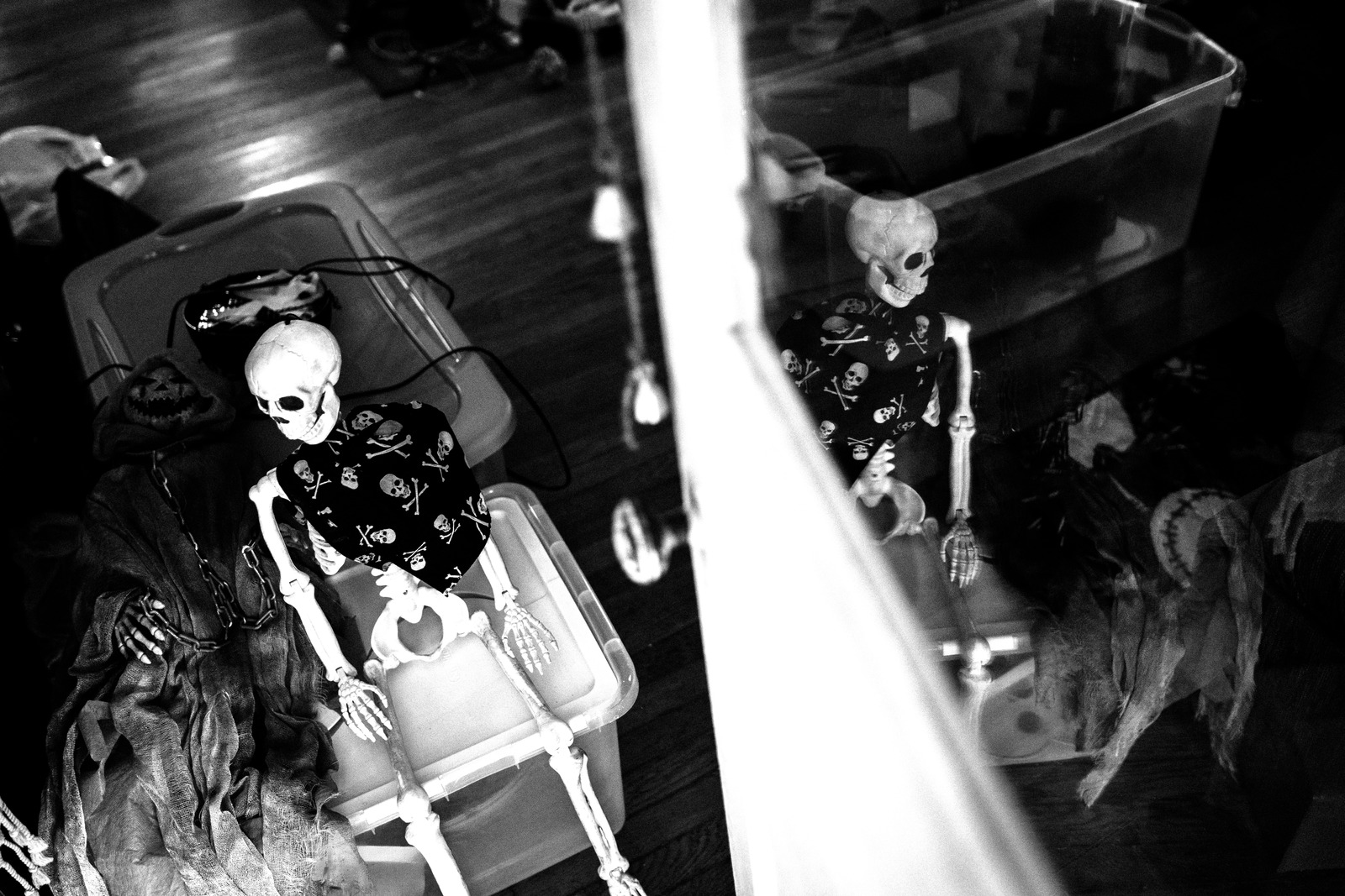 Chilling Companionship