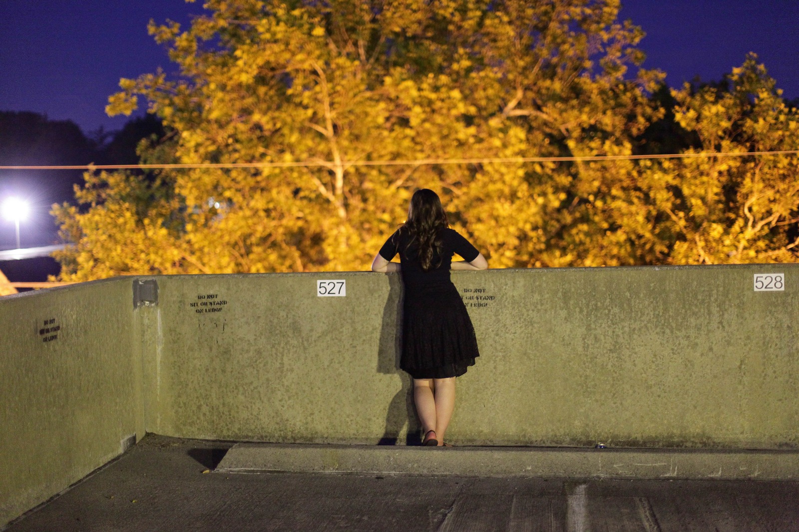 Silent Contemplation