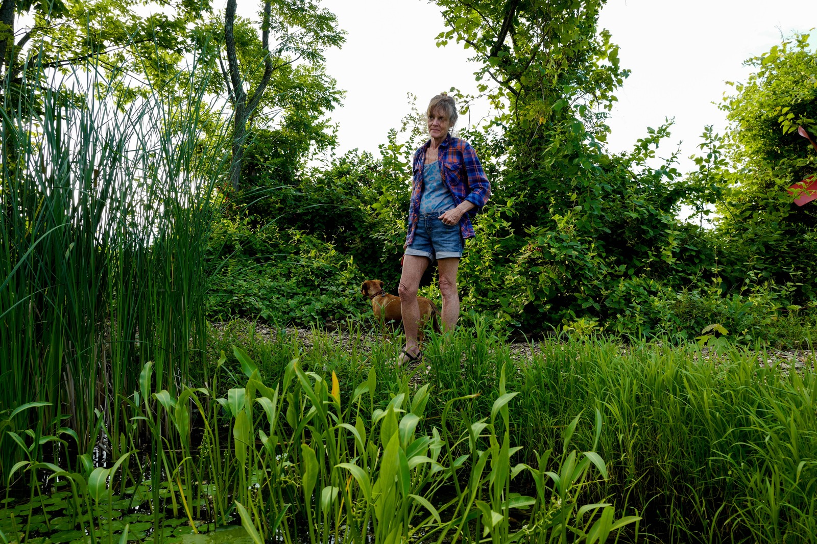 Serene Stroll by the Water