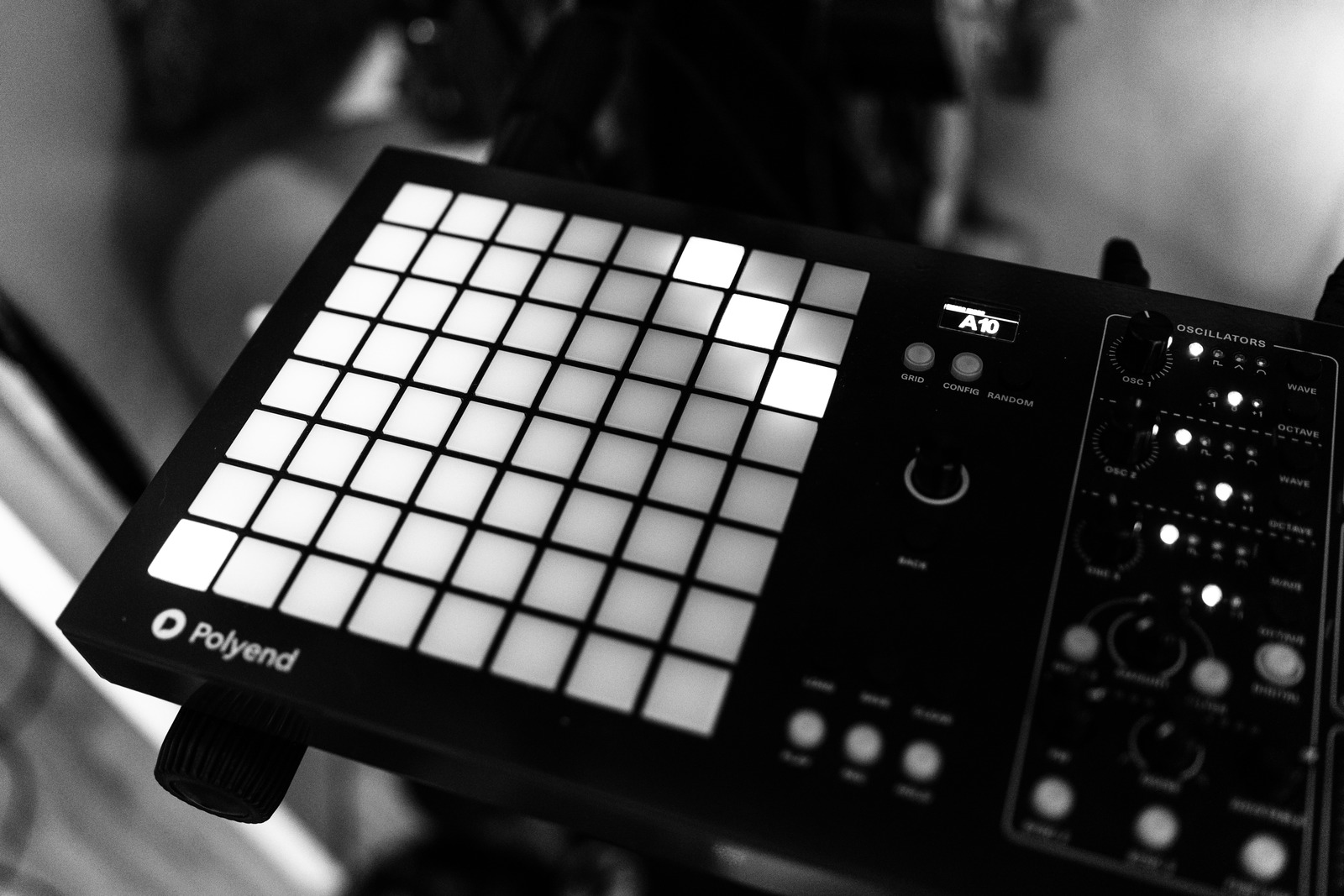 The Pulse of Creation