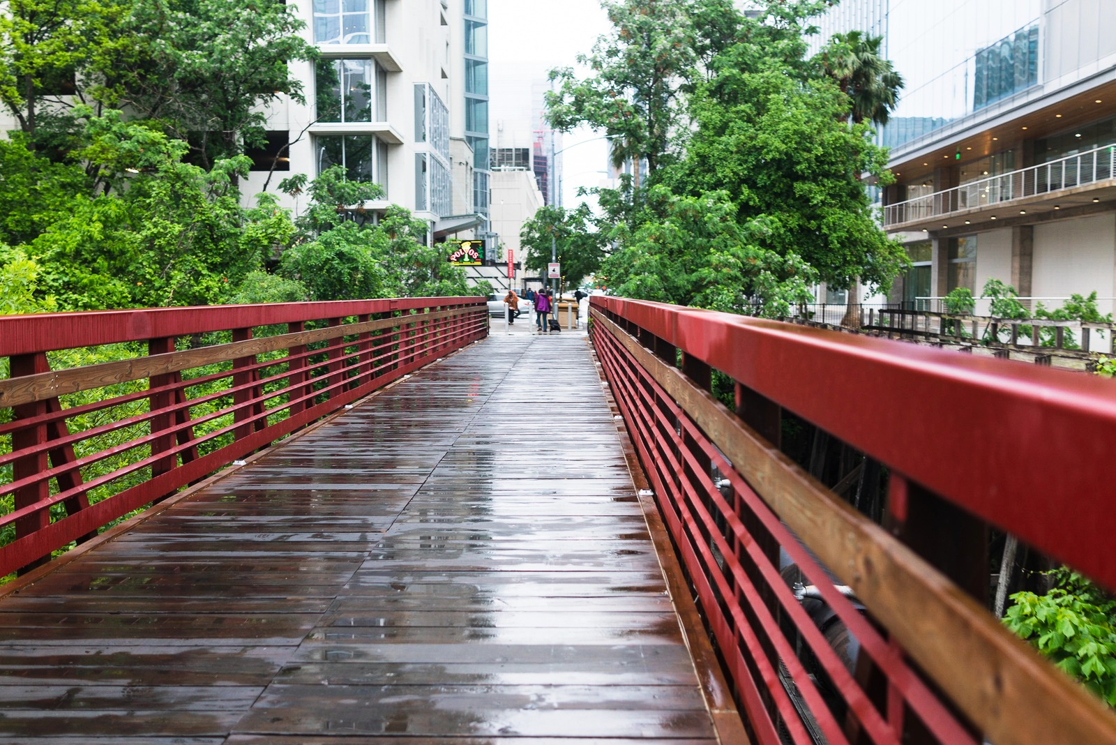 Urban Pathway After Rain