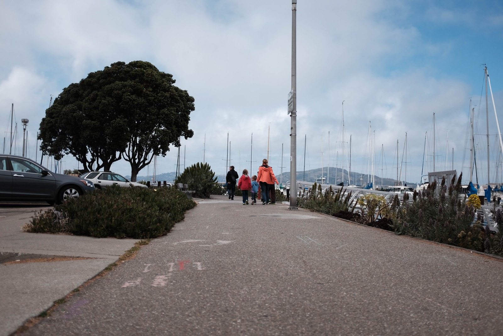 Winding Path by the Marina