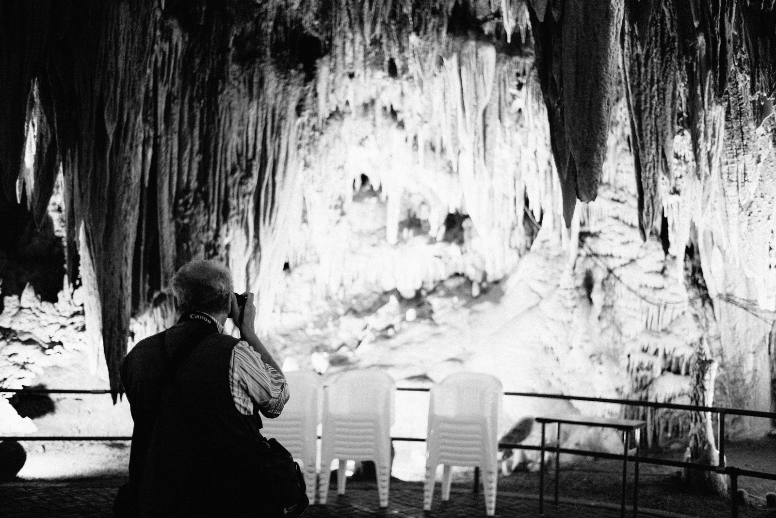 Capturing Nature's Masterpiece