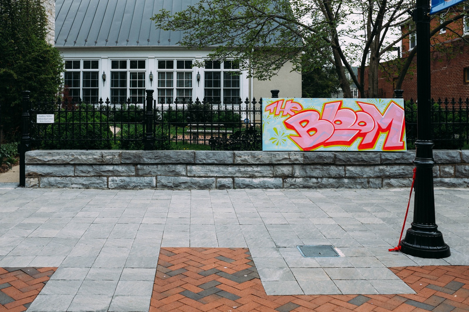 Urban Vibrance in Stillness