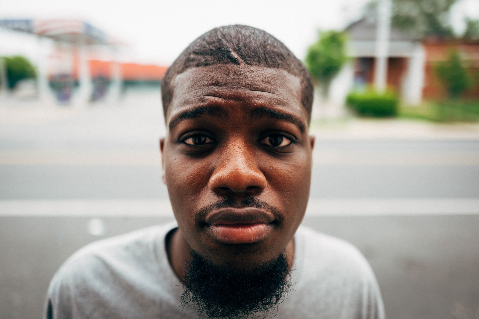 Gaze of Contemplation