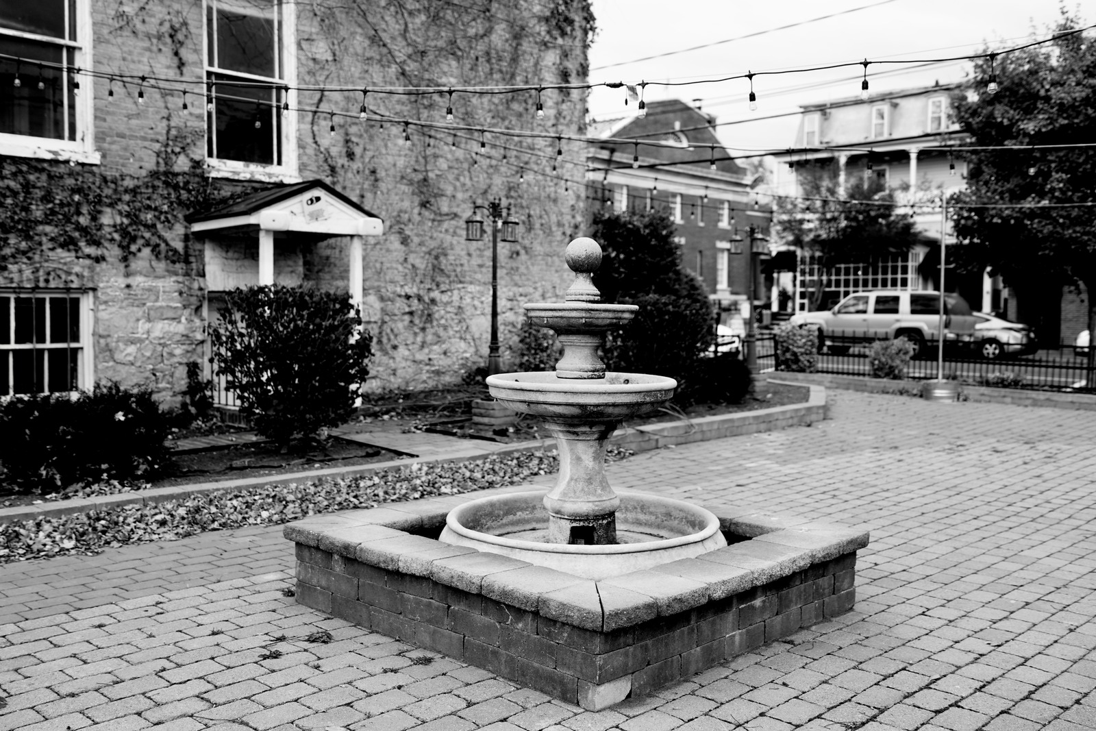 Quiet Elegance in the Courtyard