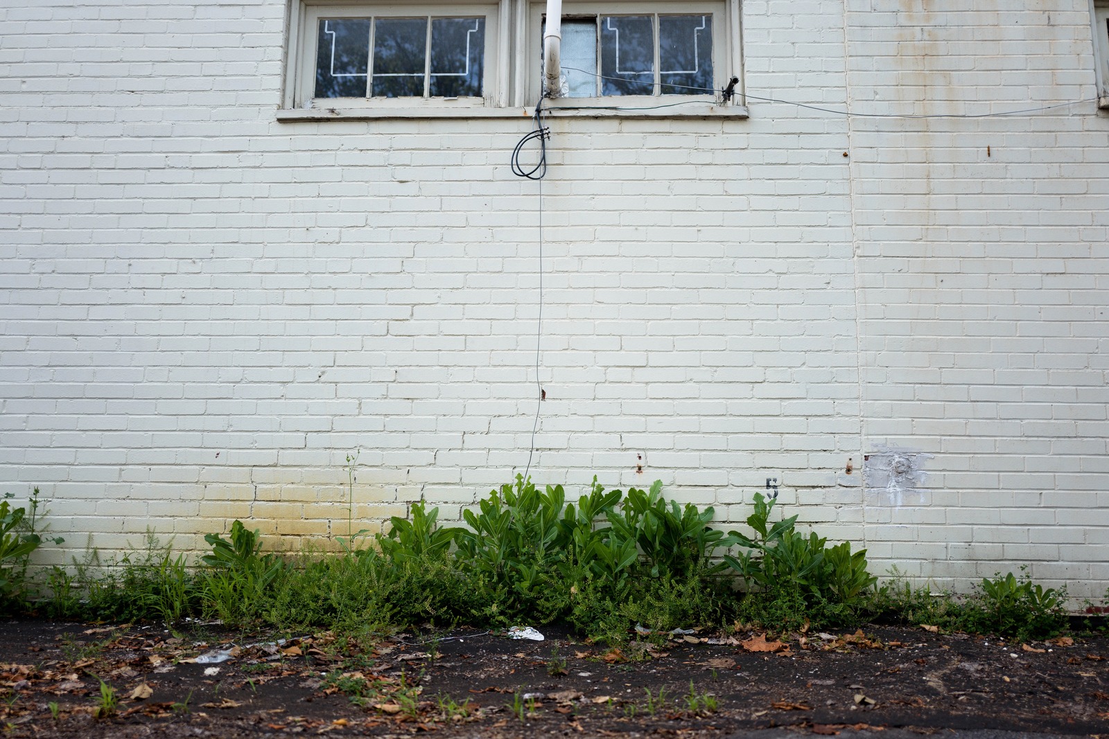 Forgotten Corner of Urban Life