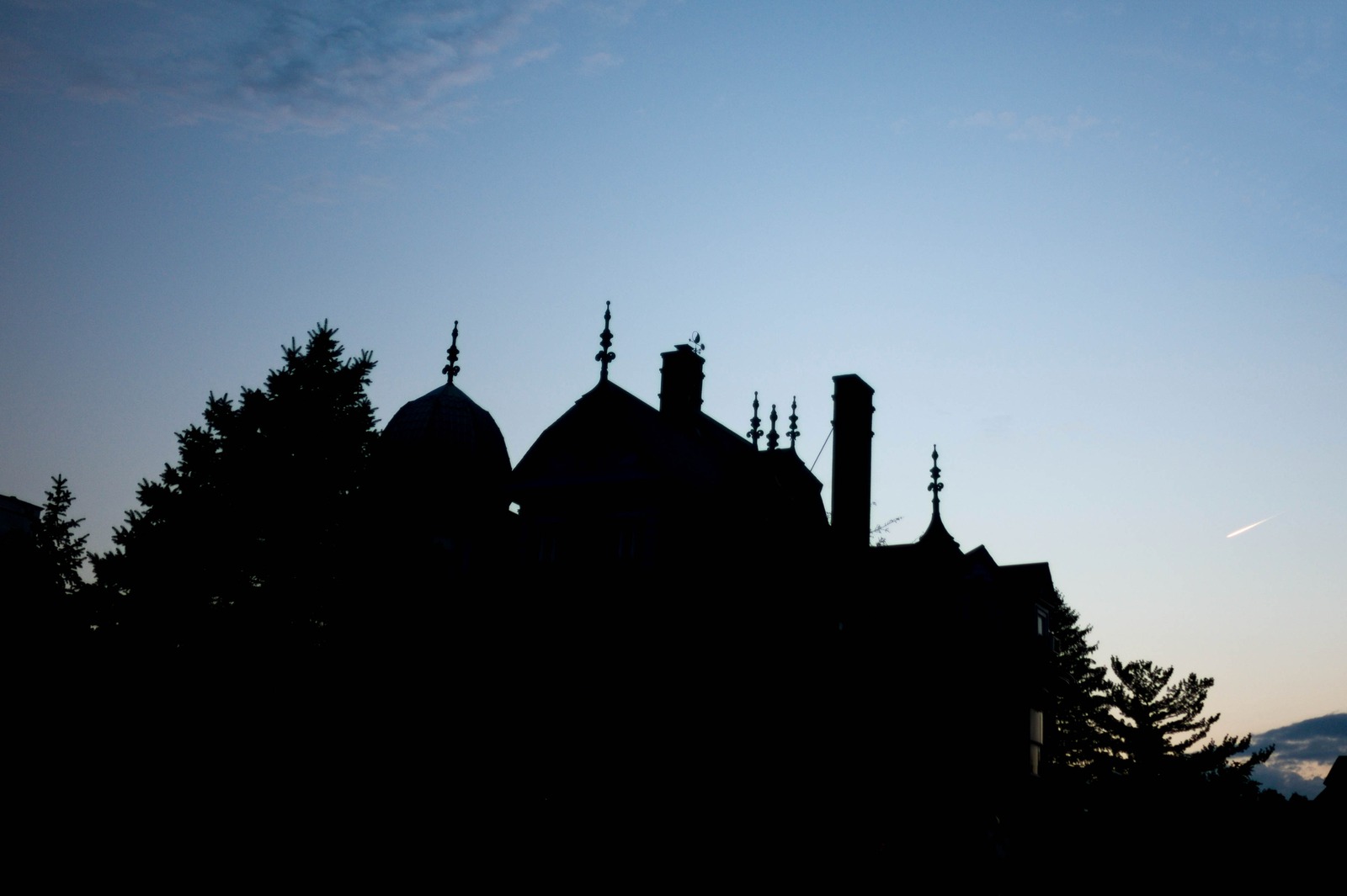 Silhouetted Elegance at Dusk