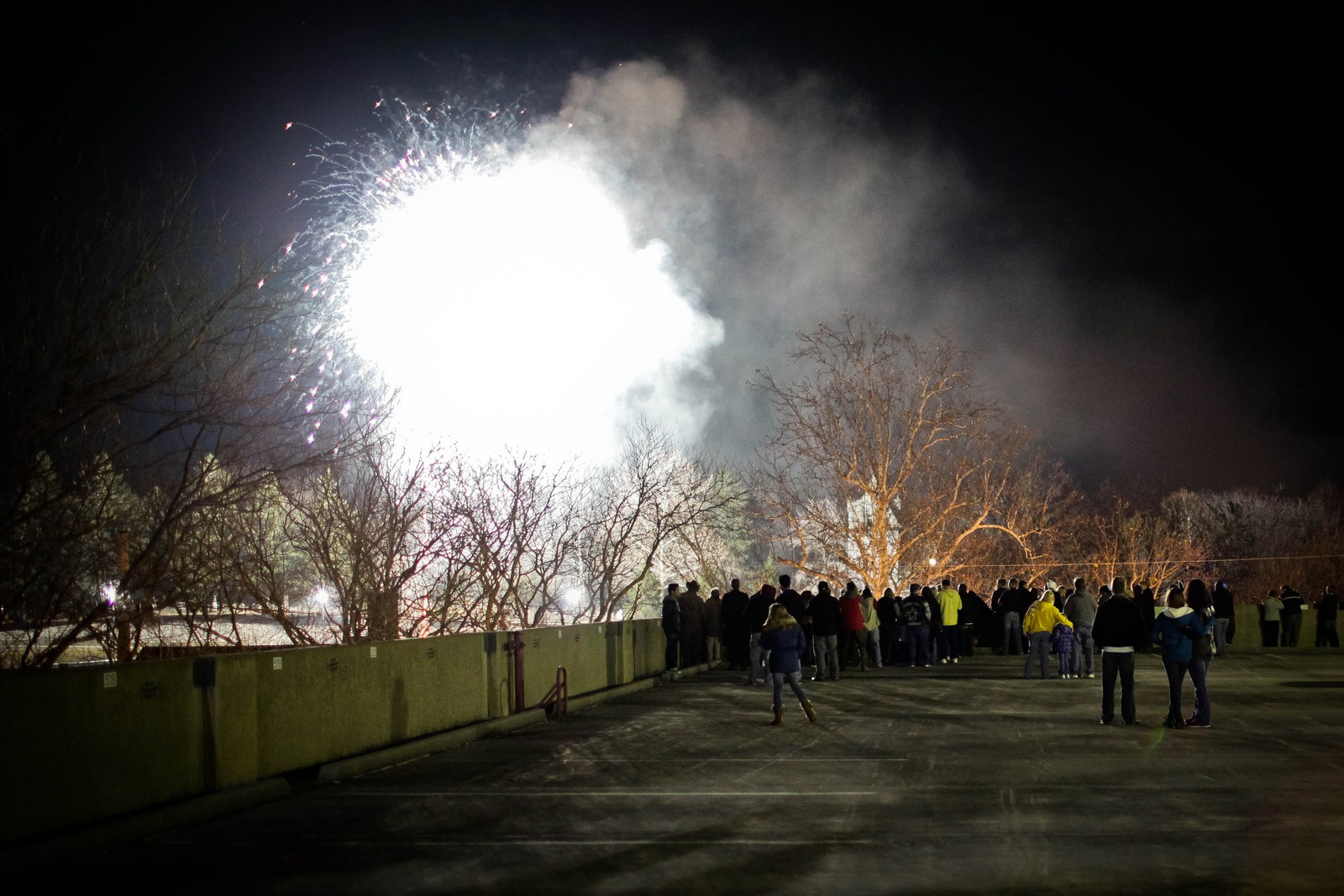 Spectacle Under the Night Sky