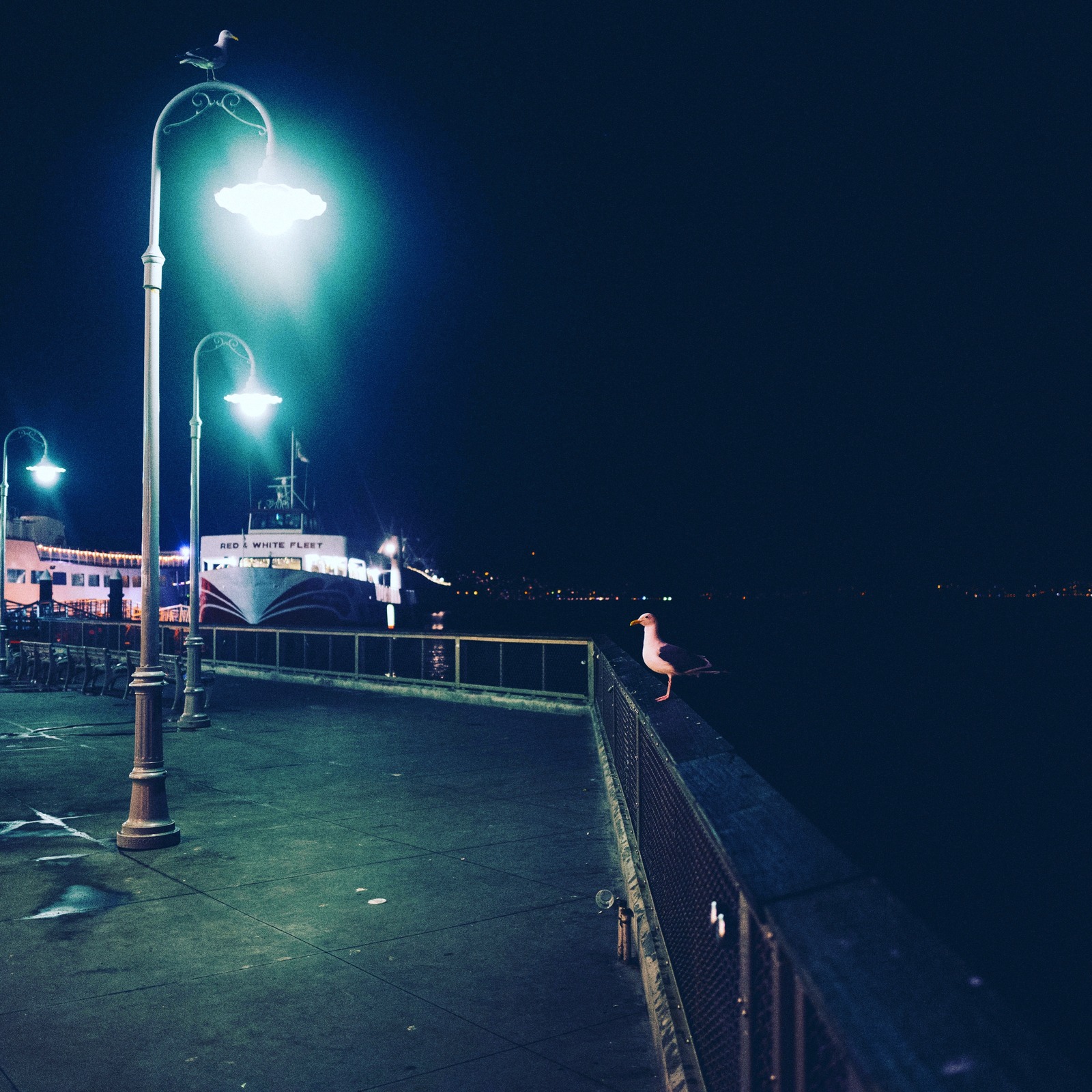 Solitude by the Pier