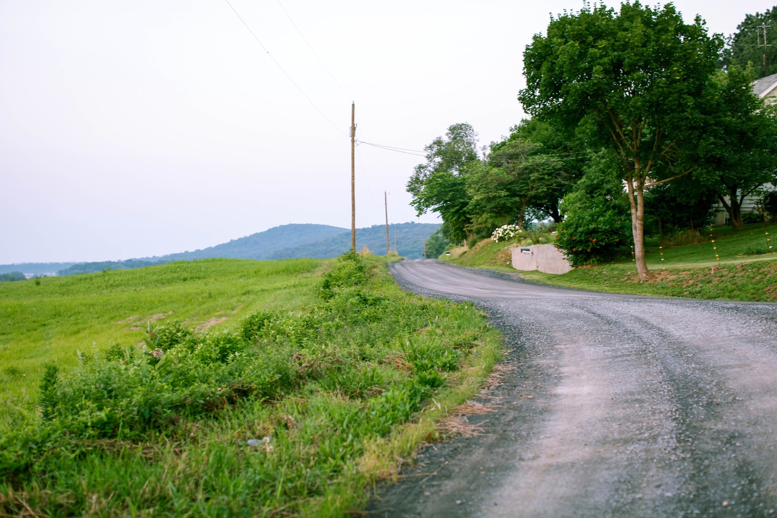 Twilight Roadside Serenity