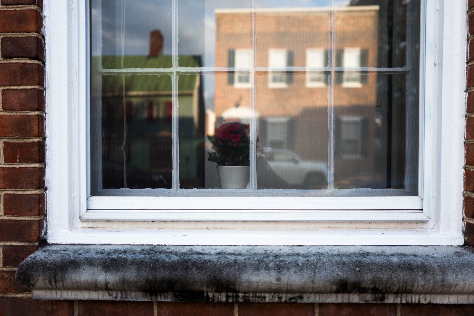 Reflection of Solitude